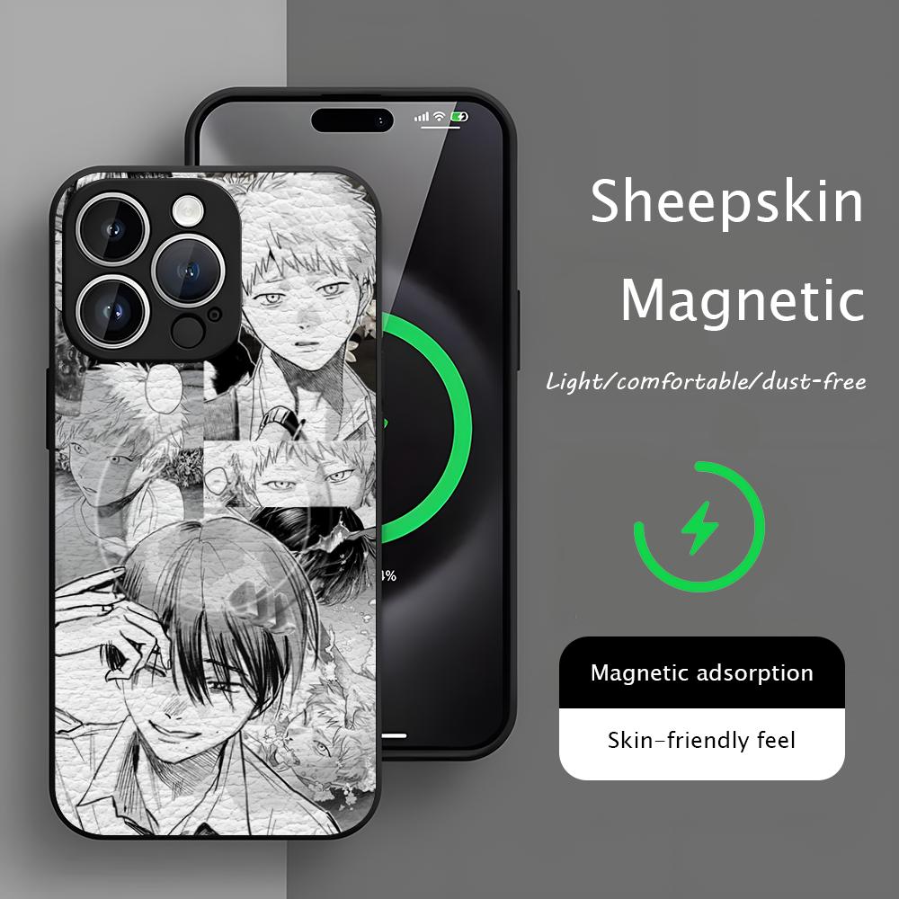 The Summer Hikaru Died Phone C - Phone Cases Magsafe 评论和价格